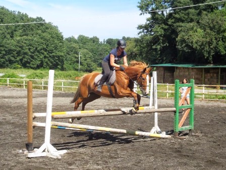 Castle Based Trail Ride